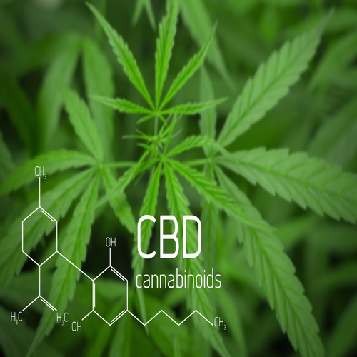 Cannabis Picture of  Formula CBD